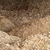 galeria_17